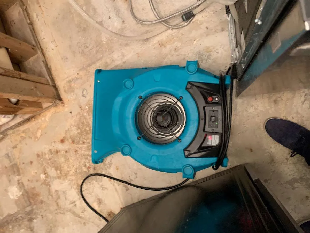 Air mover drying equipment for Mold Remediation & Removal in Waxhaw